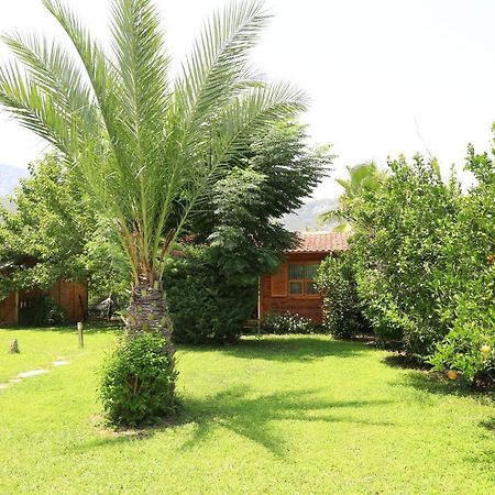 Tunays Pansiyon Bed & Breakfast Çıralı Luaran gambar