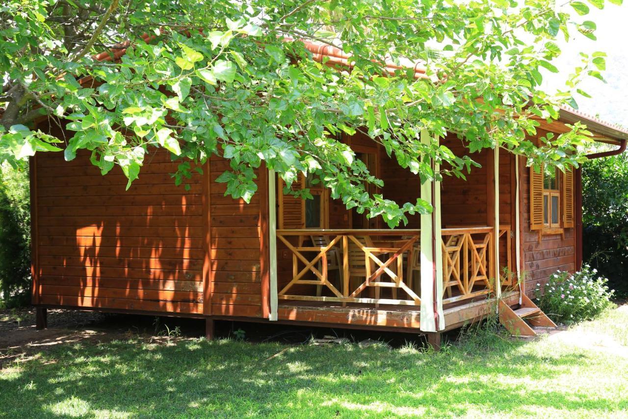Tunays Pansiyon Bed & Breakfast Çıralı Bilik gambar