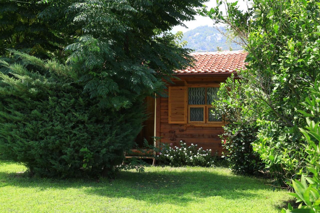Tunays Pansiyon Bed & Breakfast Çıralı Bilik gambar