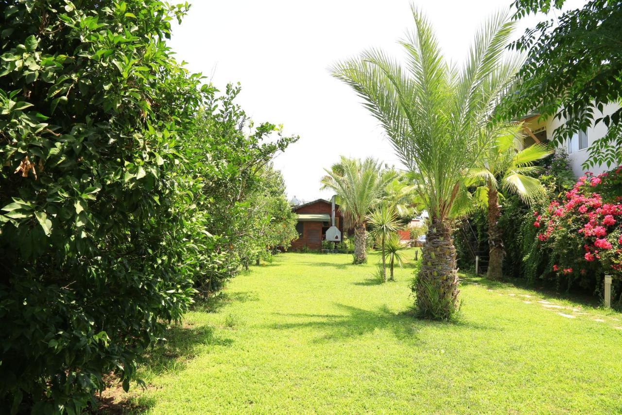 Tunays Pansiyon Bed & Breakfast Çıralı Bilik gambar