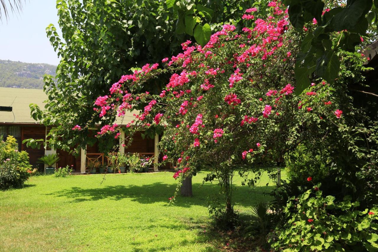 Tunays Pansiyon Bed & Breakfast Çıralı Luaran gambar