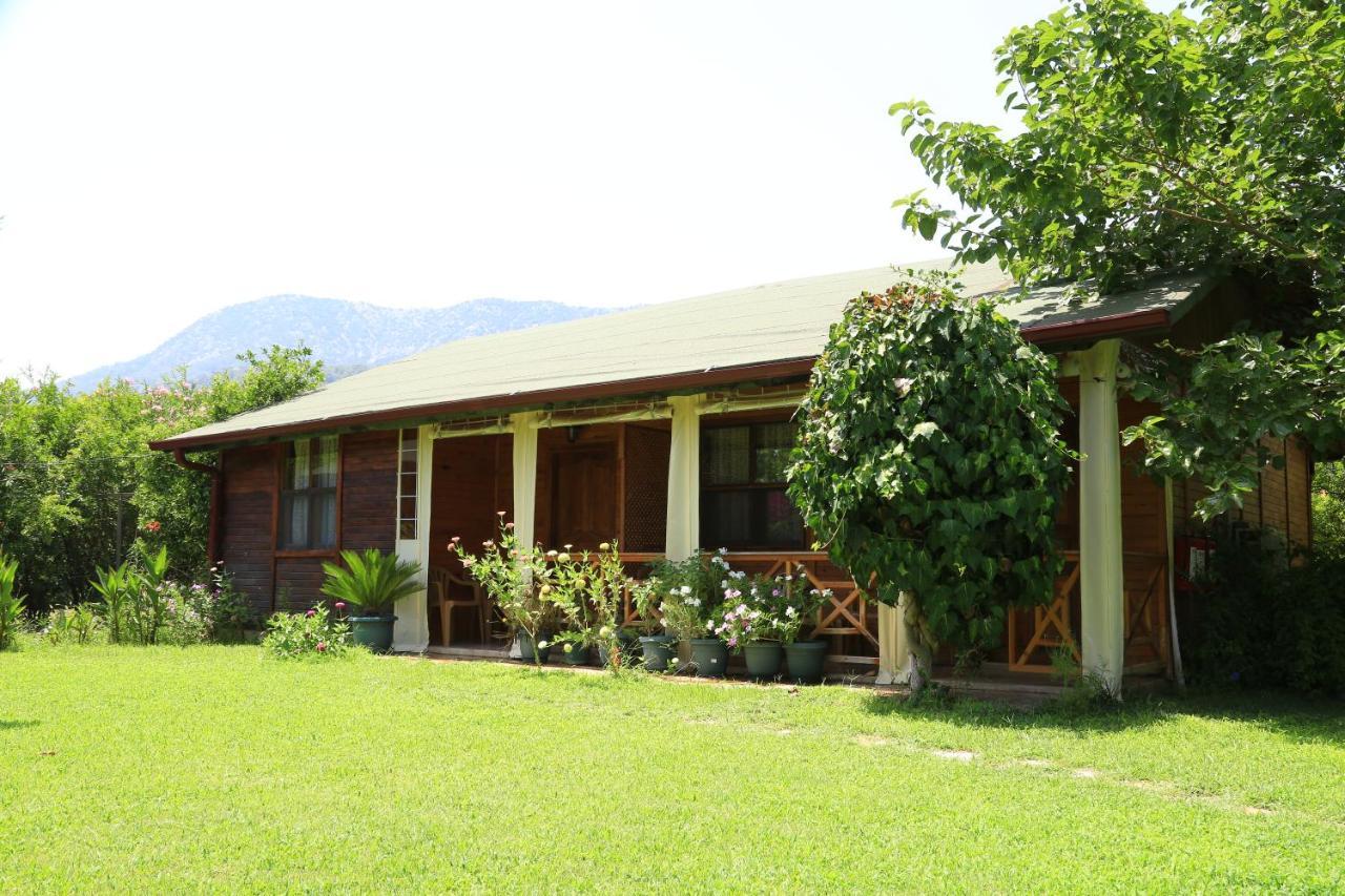 Tunays Pansiyon Bed & Breakfast Çıralı Bilik gambar